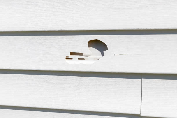 How To Choose The Right Materials for Your Siding Installation in 'Dundalk, MD